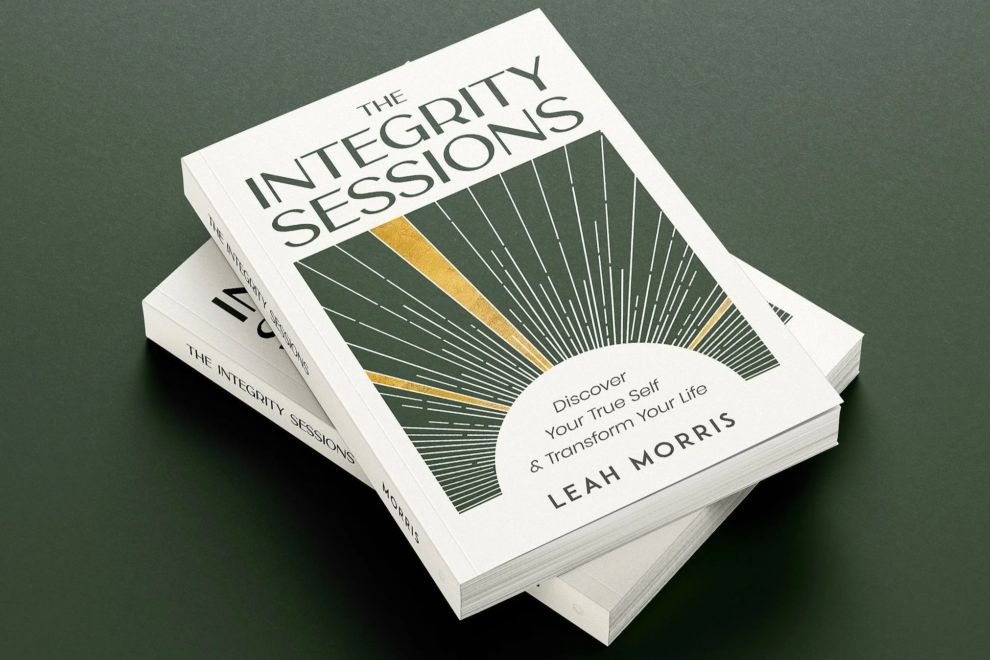The Integrity Sessions book cover by Leah Morris Giersch