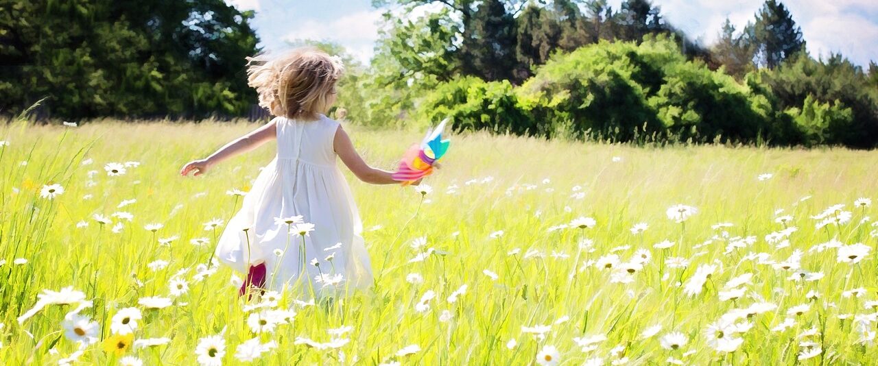 Maria Steuer pitch site preview